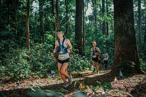 BIB: 
                            <button type="button" onclick="openModal(26080652)" class="btn btn-primary btn-sm float-right btn-popup" data-toggle="modal" data-target=".modal-high-quality">
                        <i class="fas fa-shopping-cart"></i> Add to Cart
                    </button>
                                            <button type="button" onclick="isThisMe(26080652, true)" class="btn btn-success btn-sm float-right btn-popup btn-isme hidden" data-toggle="tooltip" data-placement="bottom" title="นี่คือรูปของคุณใช่ไหม คลิกที่นี่เพื่อเอาเข้าอัลบั้ม">
                        <i class="fas fa-plus"></i> Add to album
                    </button>
                    <button type="button" onclick="isThisMe(26080652, false)" class="btn btn-warning btn-sm float-right btn-popup btn-isnotme hidden">
                        <i class="fas fa-ban"></i> Remove from album
                    </button>